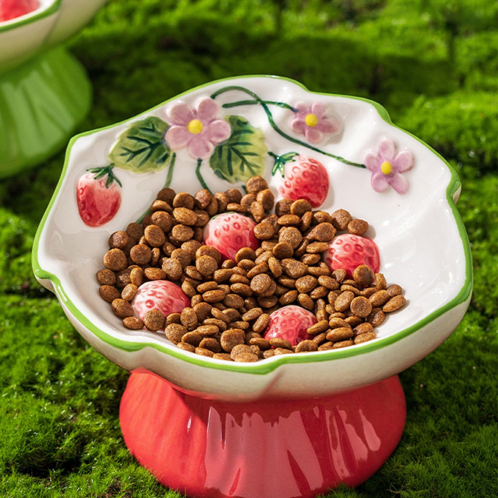 FALESHOS red ceramic cat bowl adds style with easy cleaning