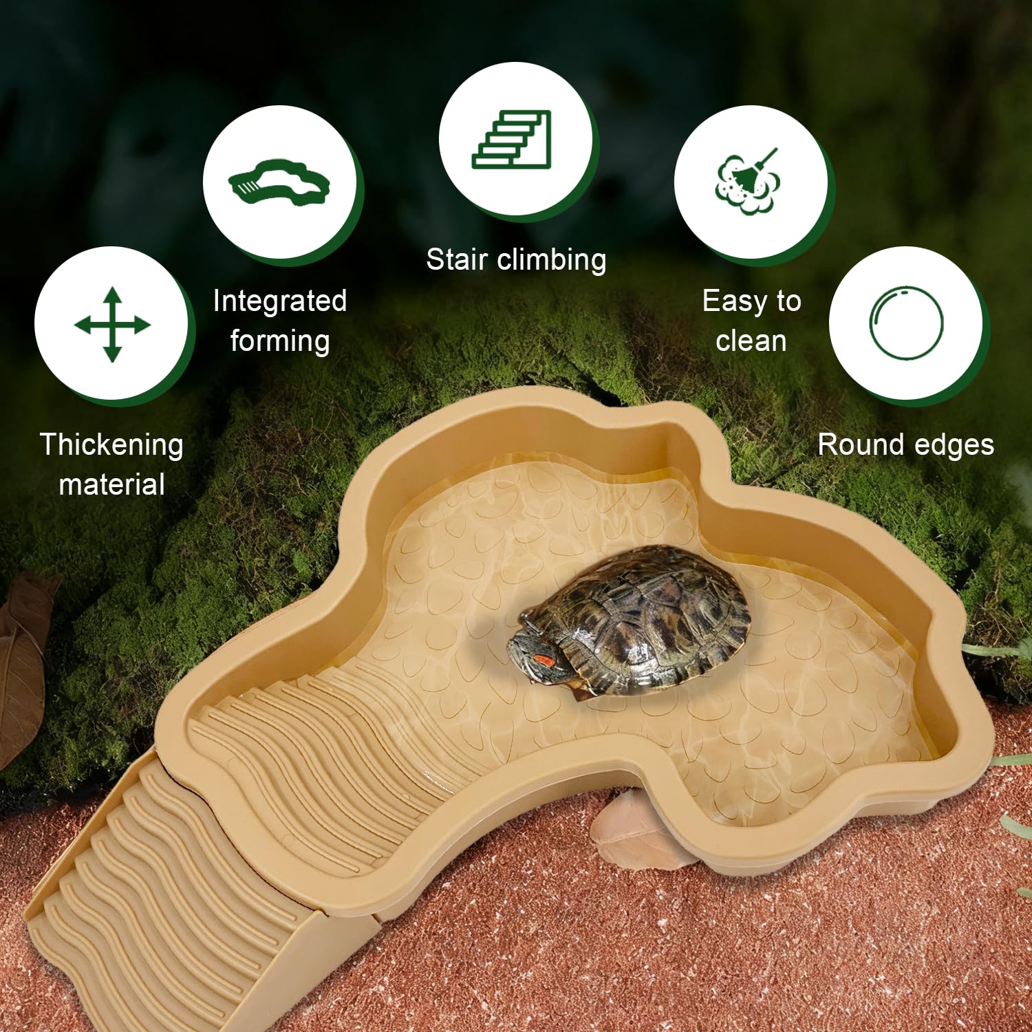FALESHOS cobblestone interior adds natural look and secure footing for climbing.