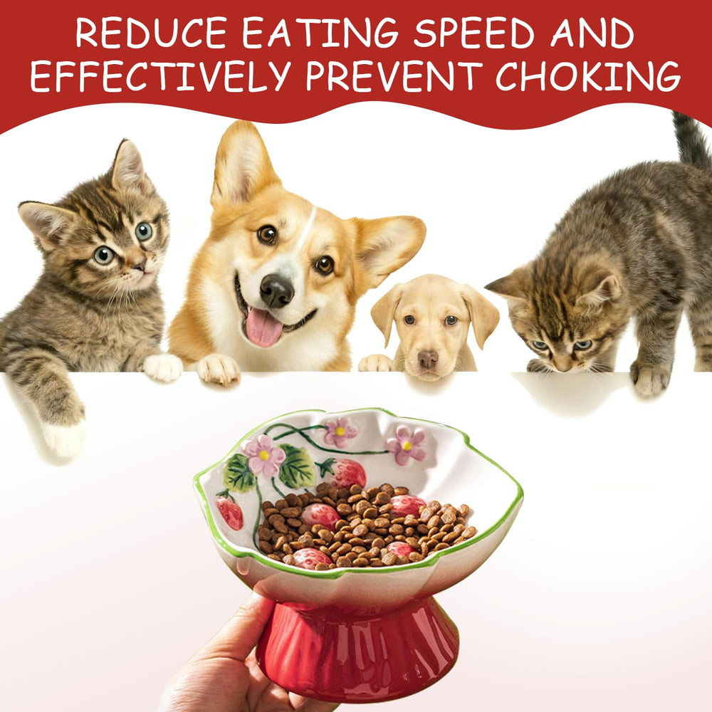FALESHOS whisker-friendly cat bowl minimizes whisker contact