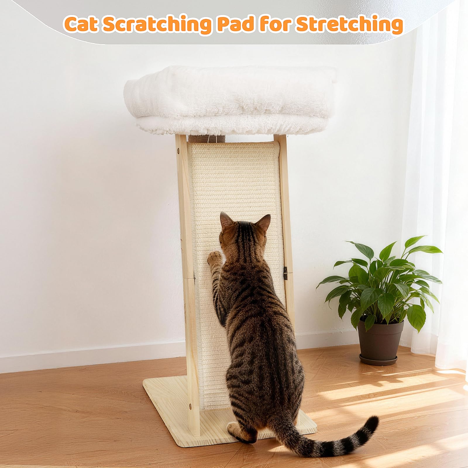 Famifit assembly guide image shows quick, tool-free setup.