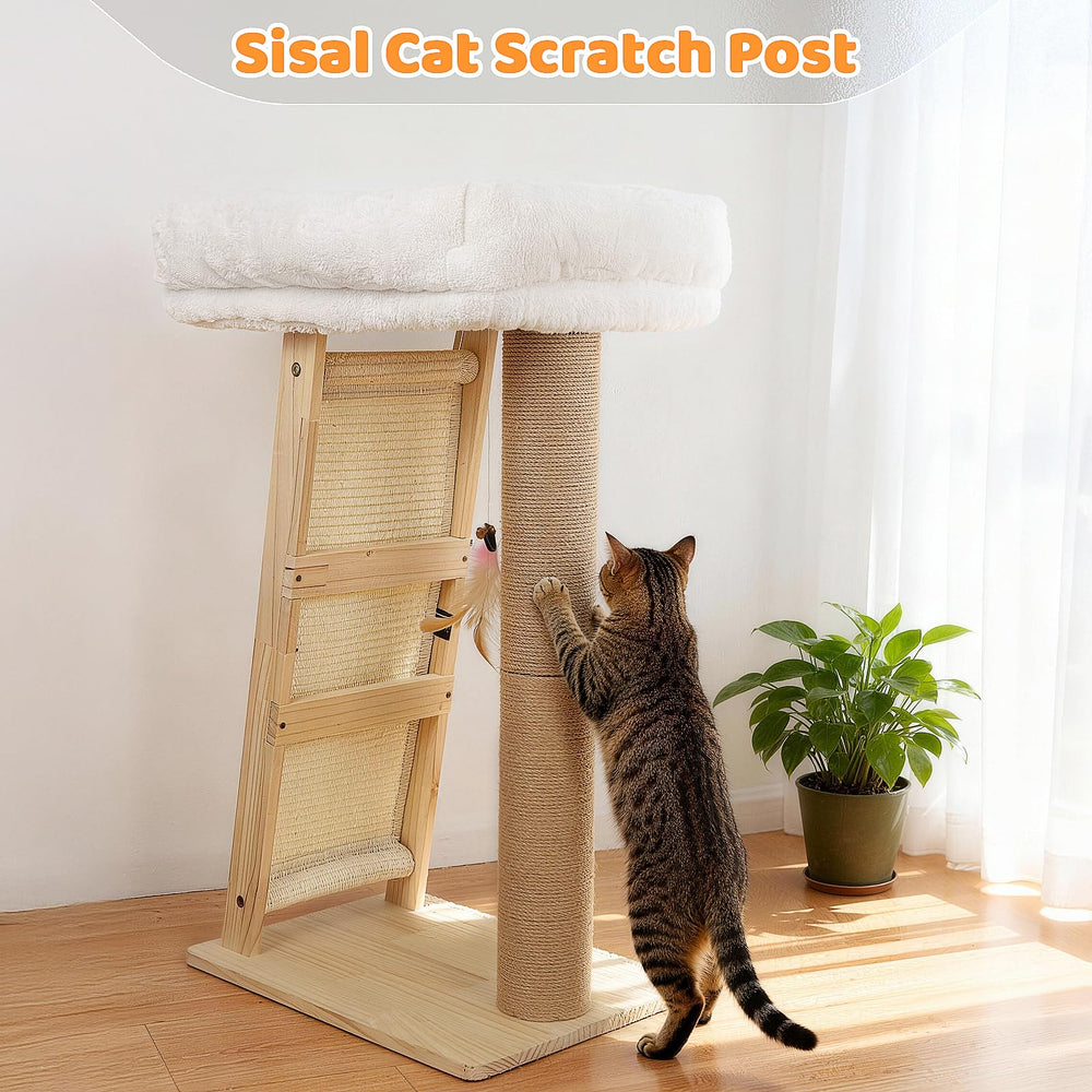 Famifit bell toy invites curiosity and active engagement during kitty play sessions.