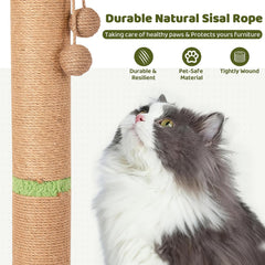 Famifit interactive ball track with wooden balls entertains active cats.