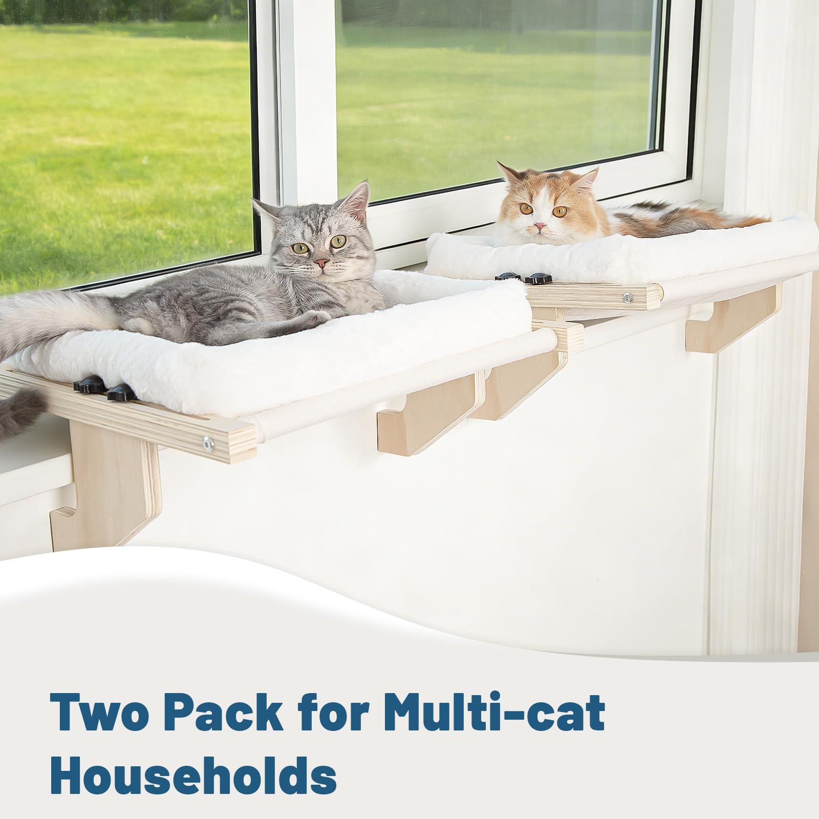 Perch supporting up to 40 lbs, demonstrating sturdiness.