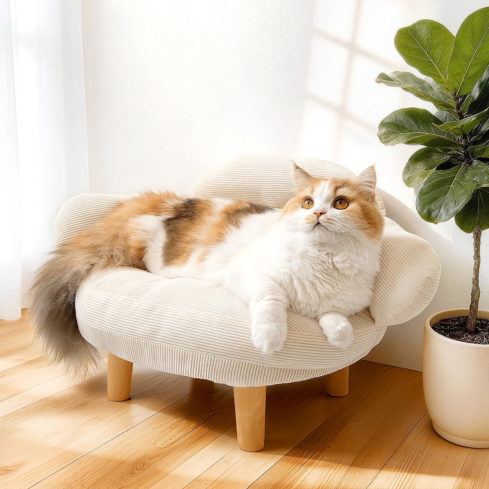 Famifit Cat Sofa with soft cotton velvet seat for cozy lounging.