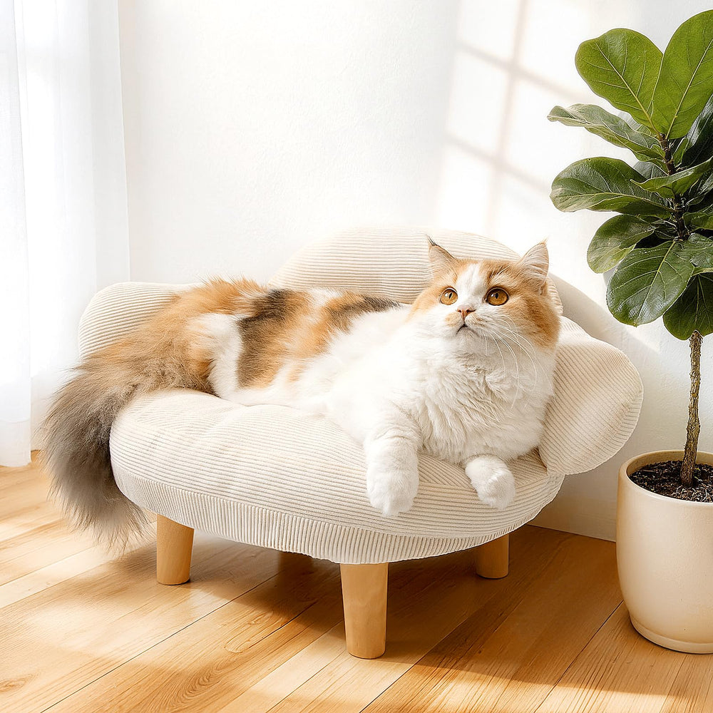 Famifit Cat Sofa with soft cotton velvet seat for cozy lounging.