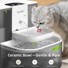 Timed dispensing options 3/6/9 hours on Famifit fountain