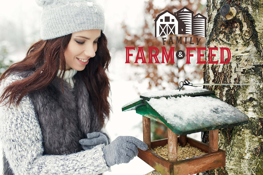 FAMILY FARM AND FEED birds at feeder savoring sunflower seeds for daily energy