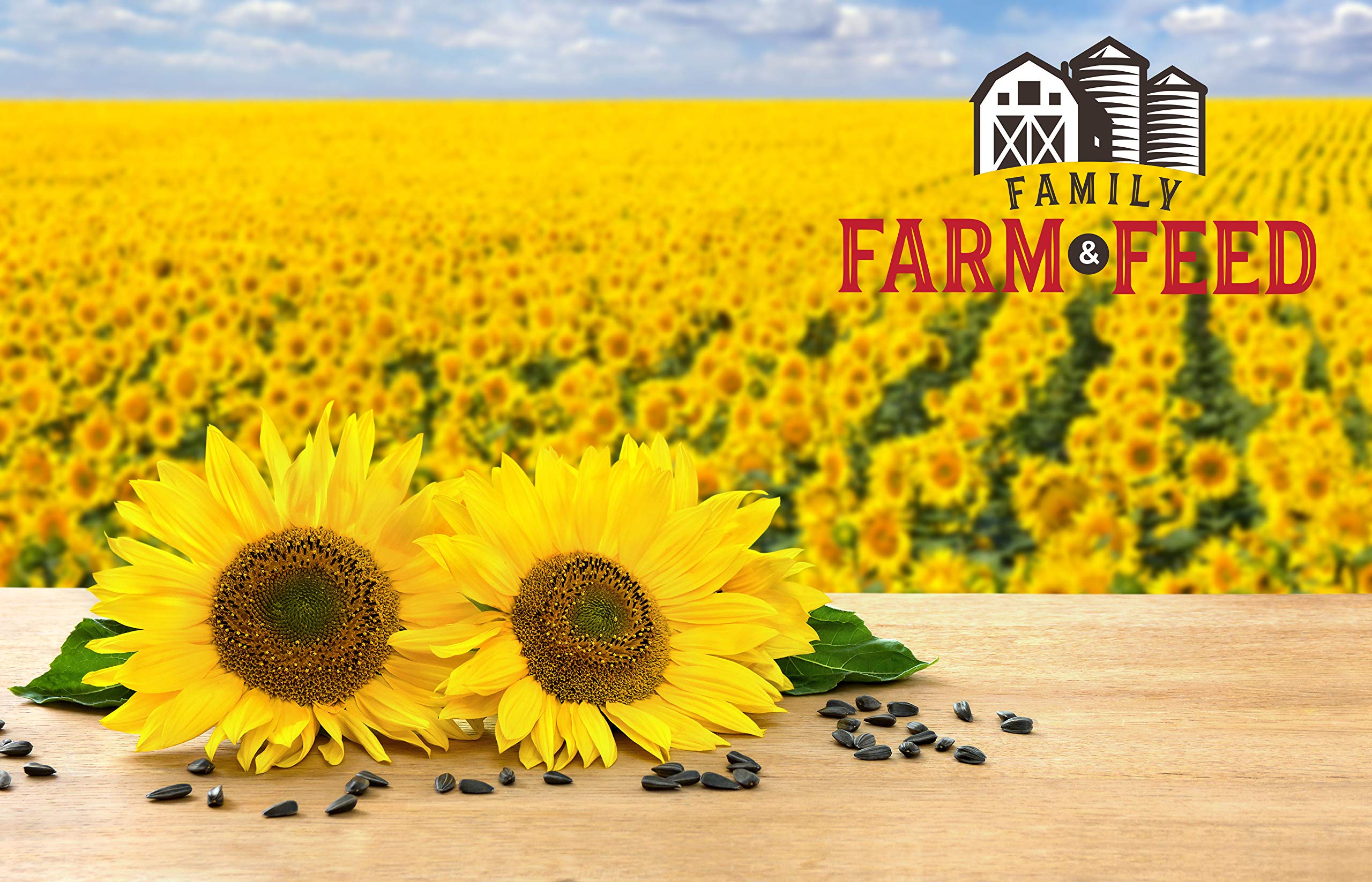 FAMILY FARM AND FEED four-pound seed bag label ready for home birding