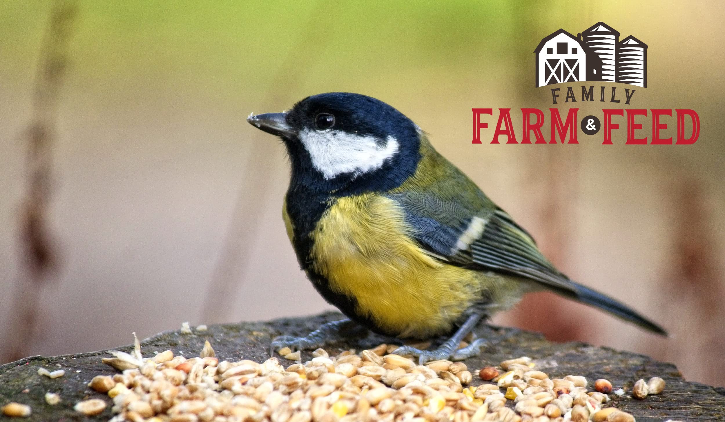 FAMILY FARM AND FEED white millet supports year-round bird energy