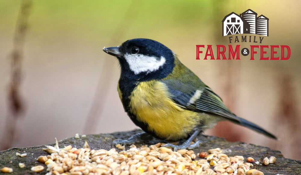 FAMILY FARM AND FEED white millet supports year-round bird energy