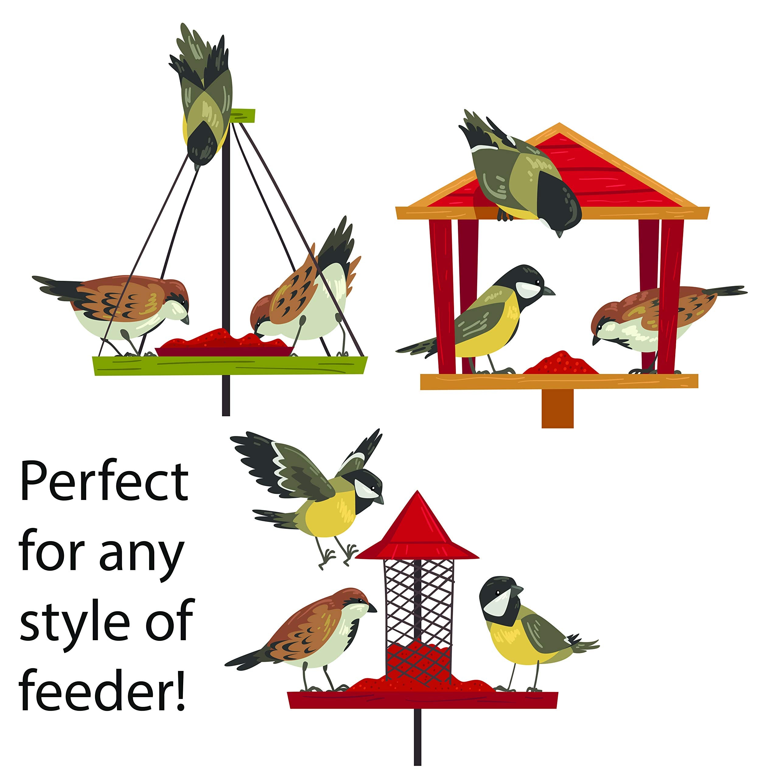 FAMILY FARM AND FEED birds feeding at a feeder enjoying easy-to-dispense seeds