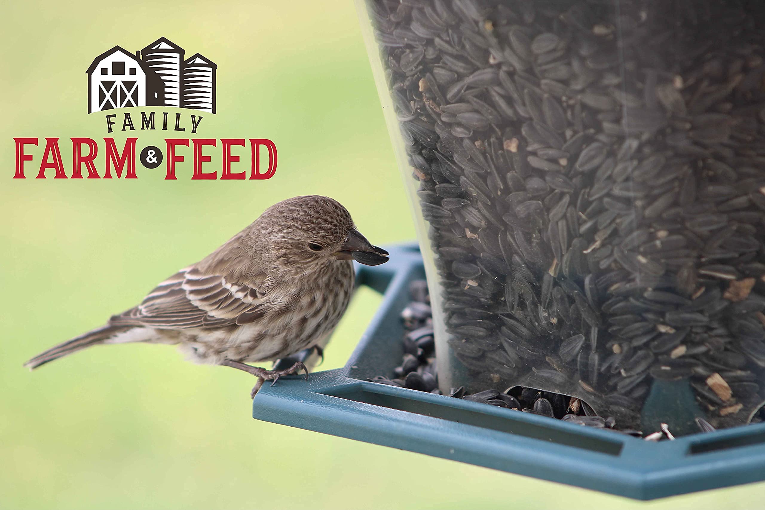 FAMILY FARM AND FEED year-round wildlife-friendly seed supports backyard birds