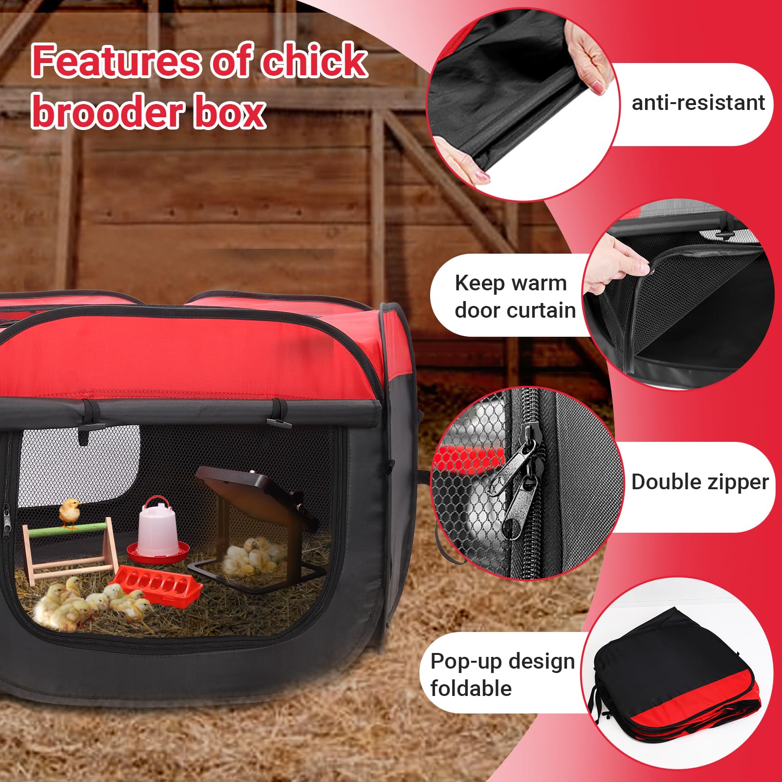 FAMIROSA brooder waterer provides clean hydration with easy refills.