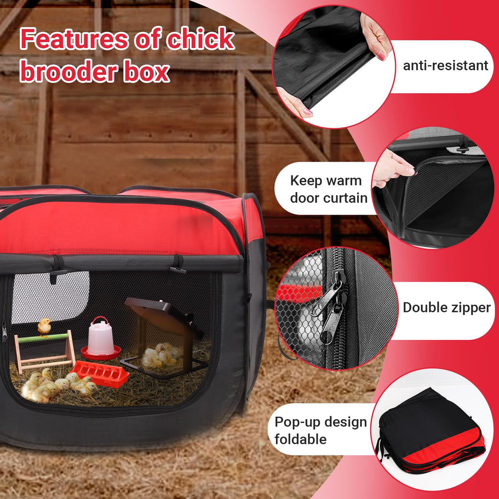 FAMIROSA brooder waterer provides clean hydration with easy refills.