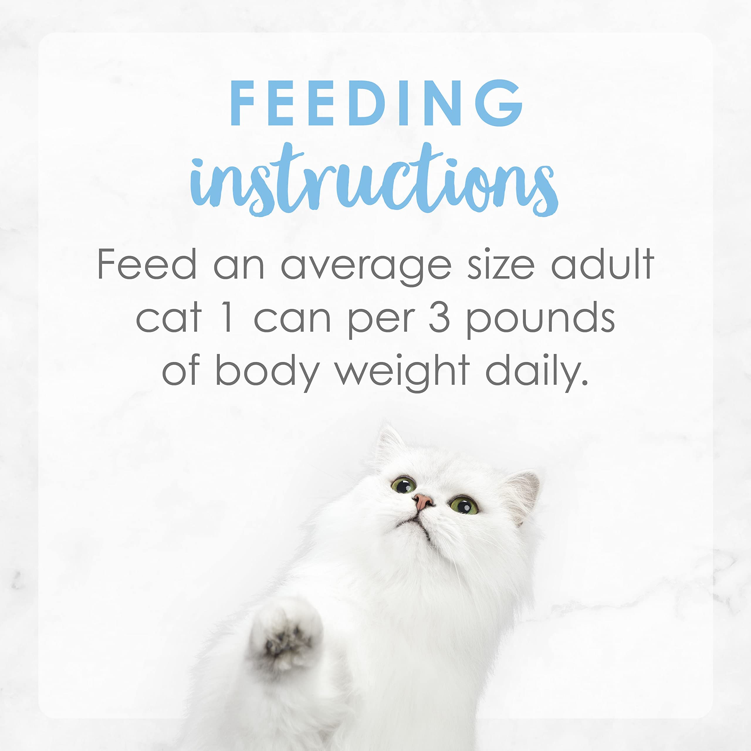 Fancy Feast adult cat serving image suggests satisfying daily mealtime.