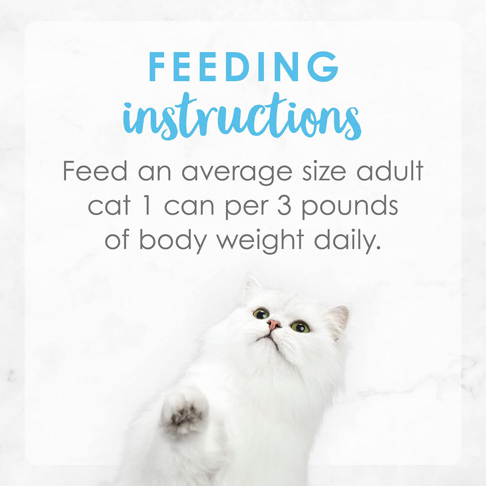Fancy Feast adult cat serving image suggests satisfying daily mealtime.
