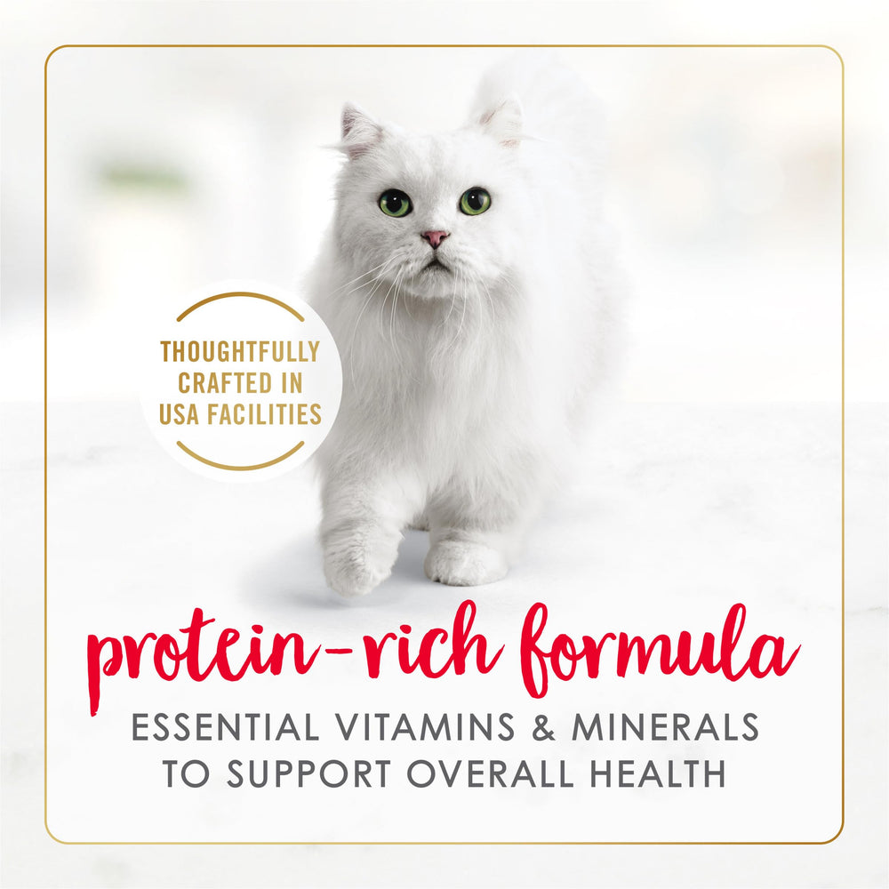 Adult cat nutrition balance highlighted by Fancy Feast paté with beef and chicken.