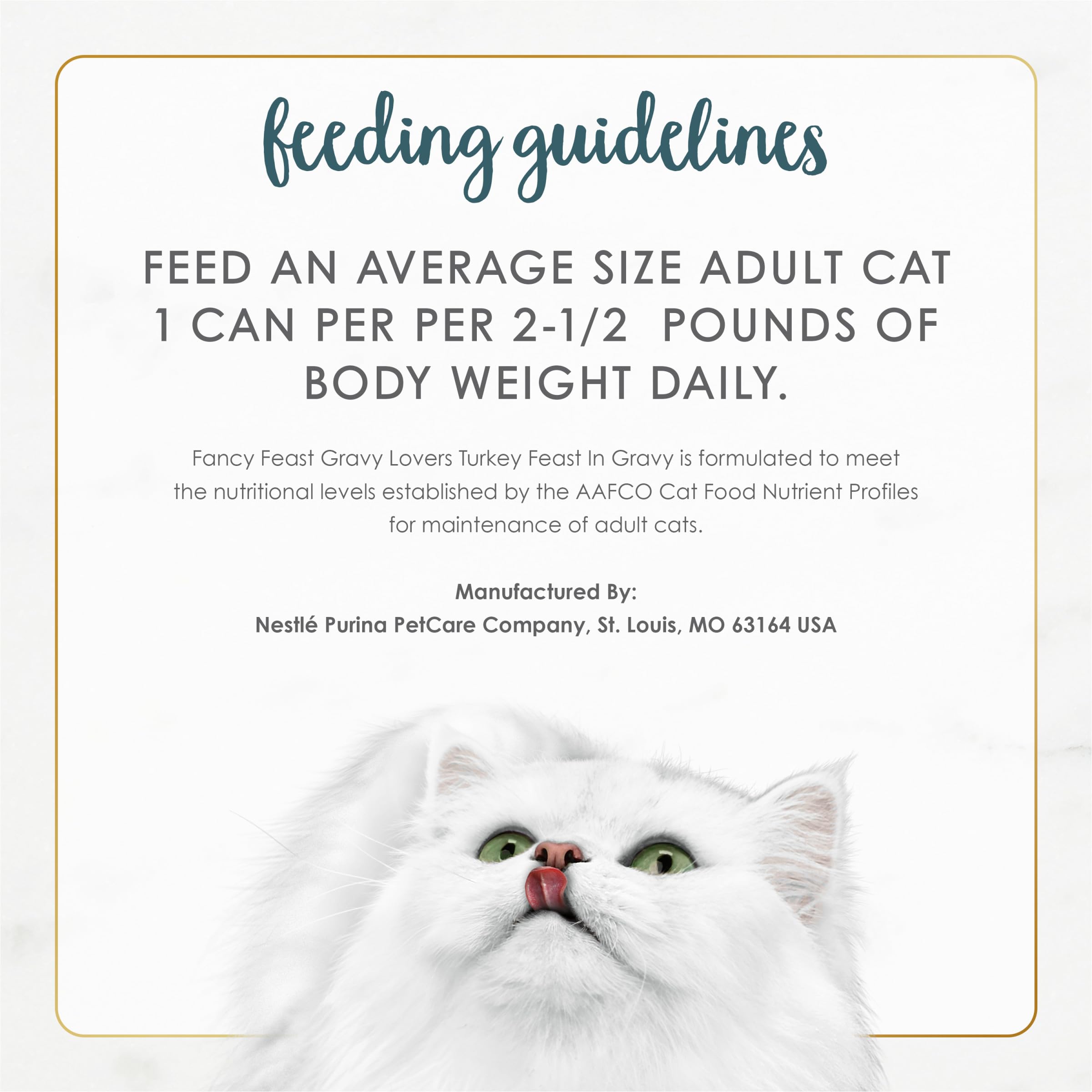 Fancy Feast cat dining turkey feast captures gourmet texture and aroma.