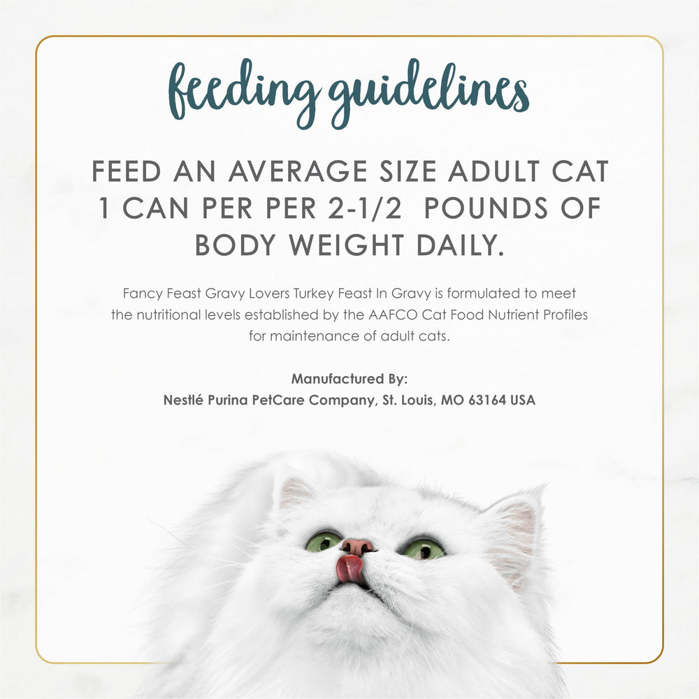 Fancy Feast cat dining turkey feast captures gourmet texture and aroma.