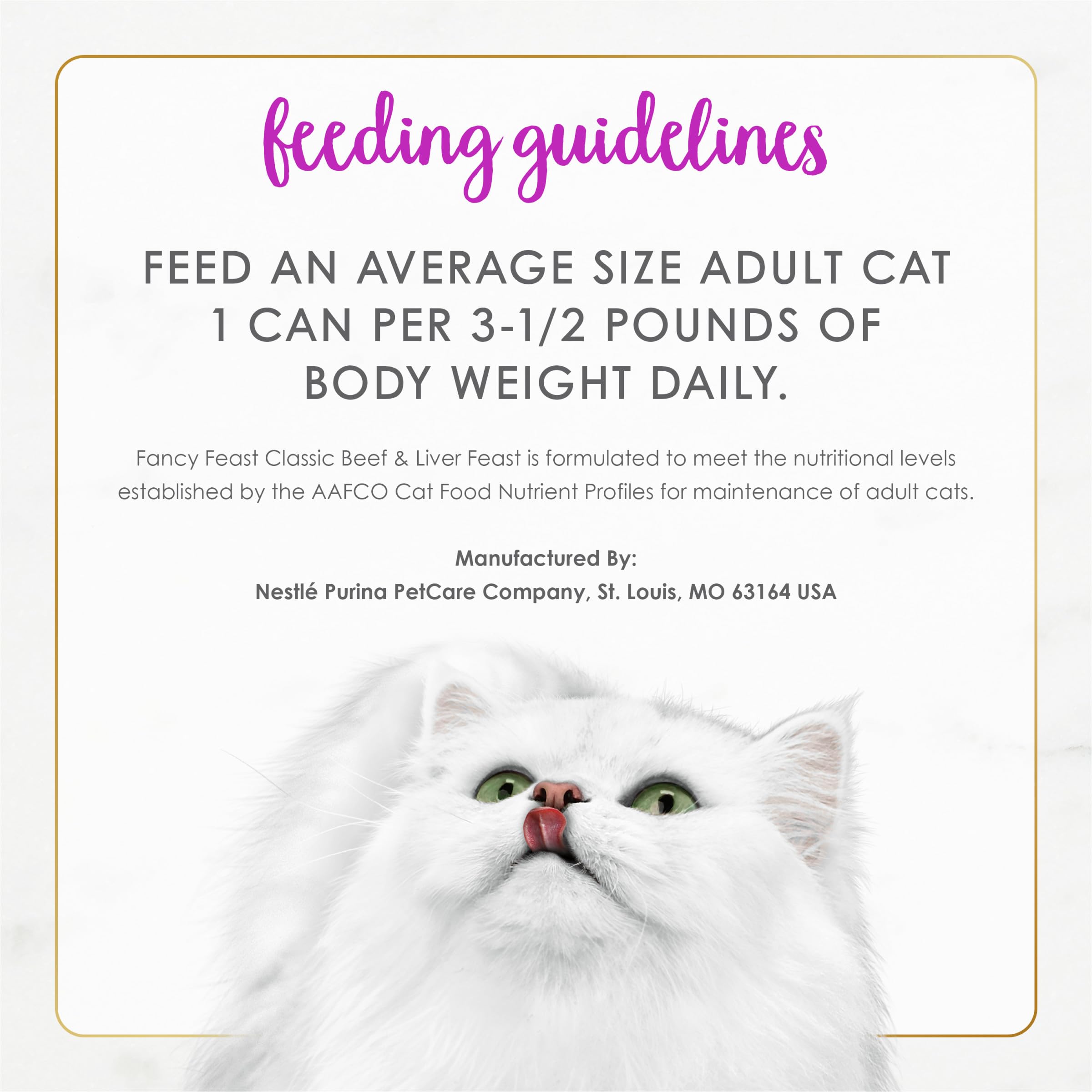 Cat enjoying a Fancy Feast meal, showcasing positive mealtime moment.