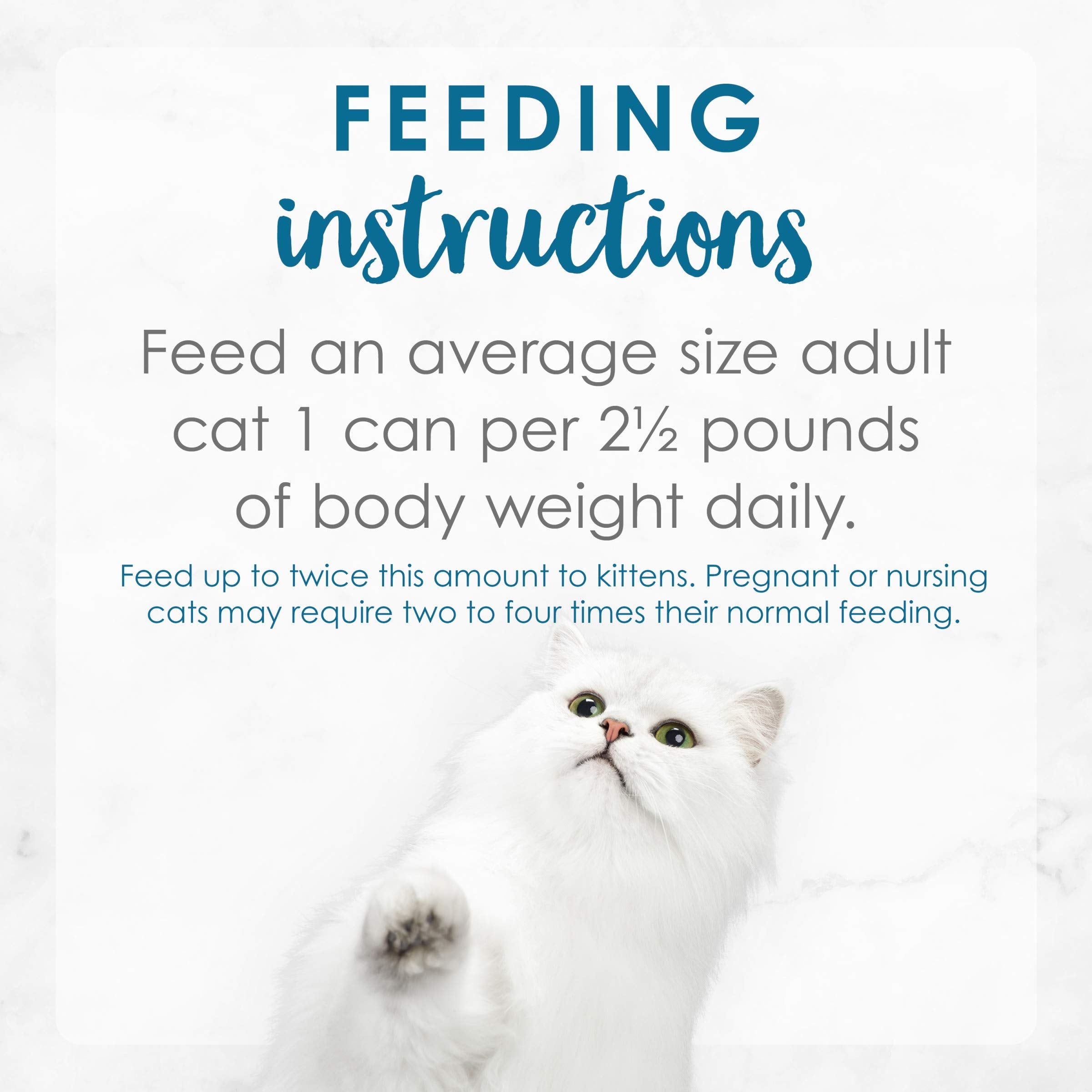 Fancy Feast cat enjoying meal shows satisfaction after seaside-inspired flavors.