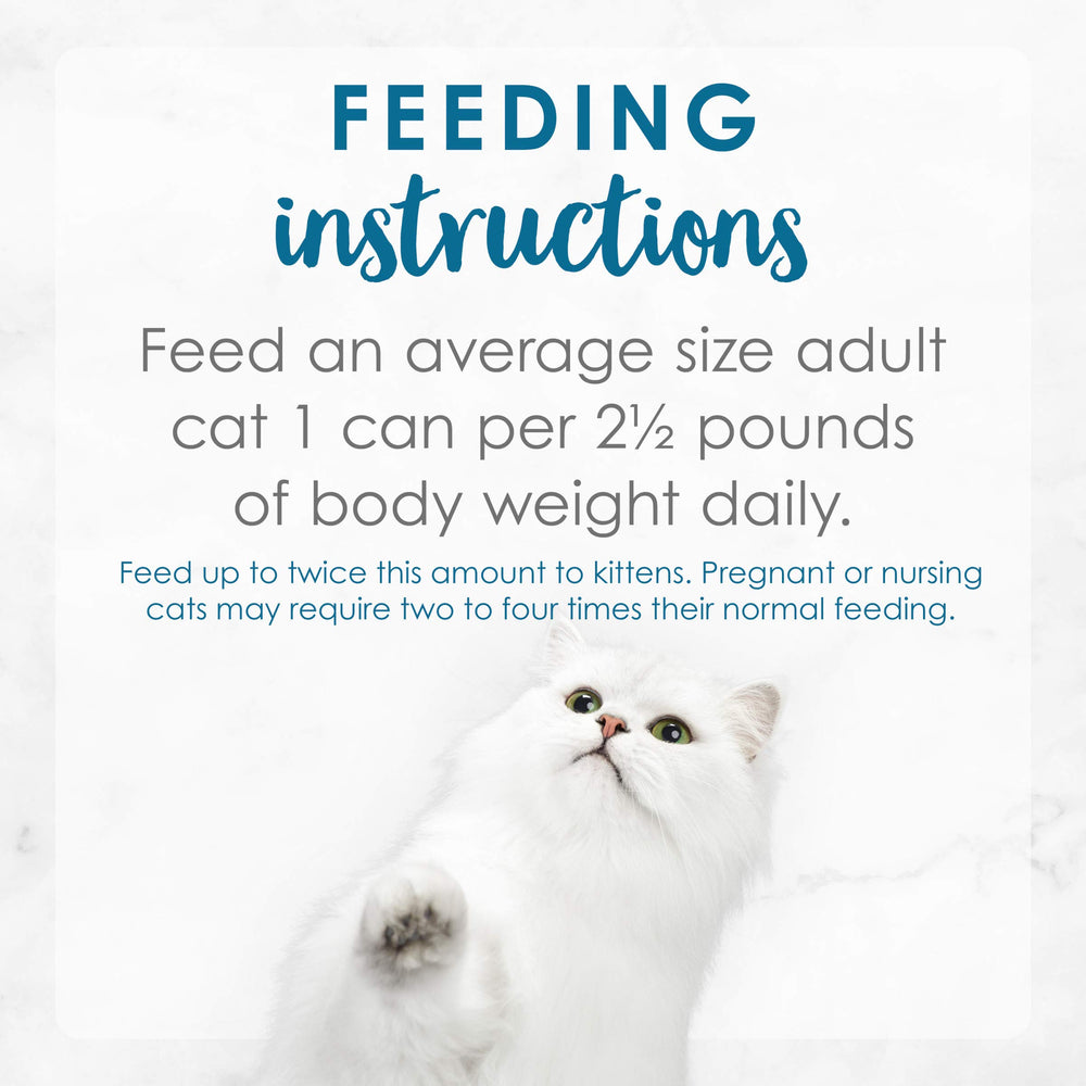 Fancy Feast cat enjoying meal shows satisfaction after seaside-inspired flavors.