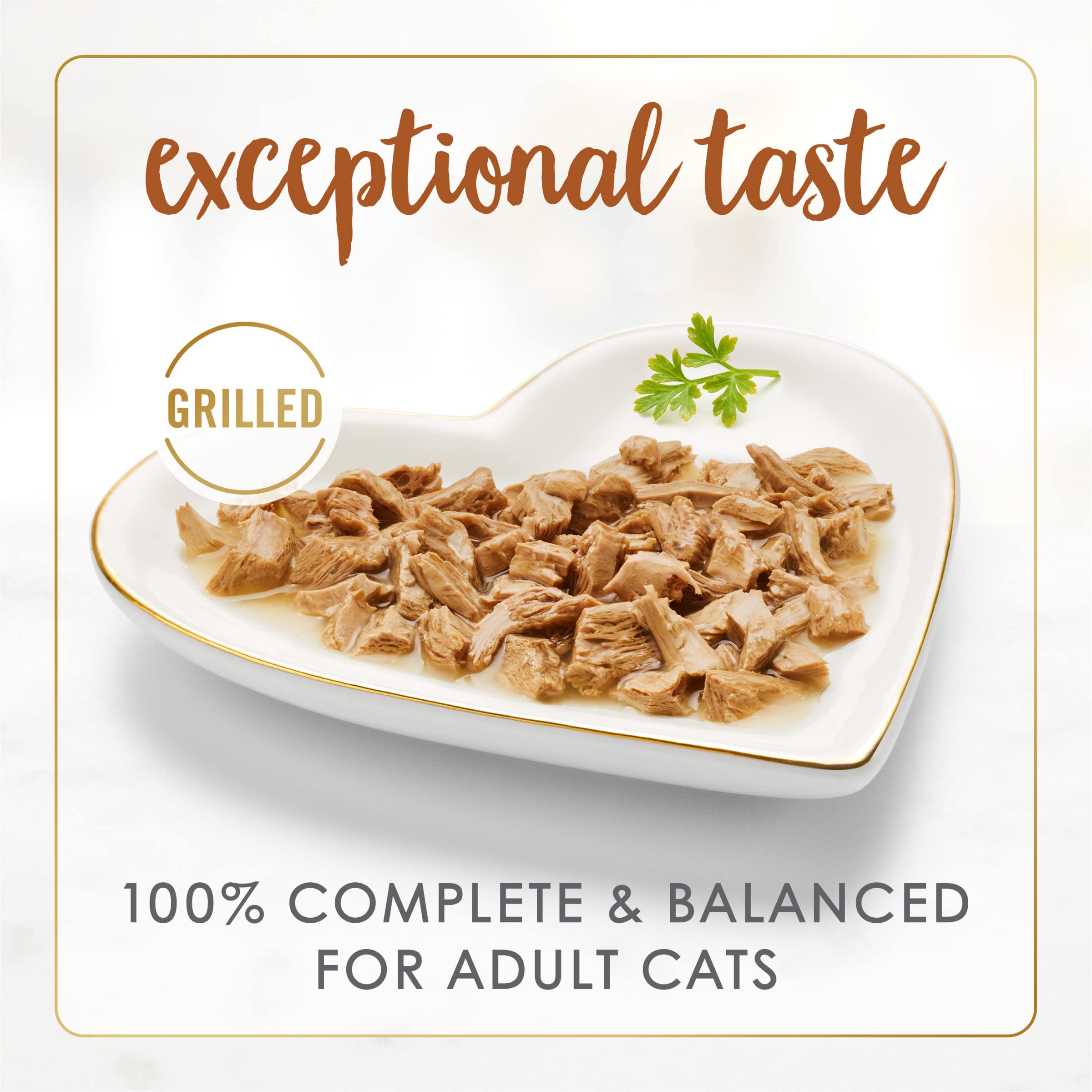 Cat enjoying Fancy Feast gravy meal during feeding time.