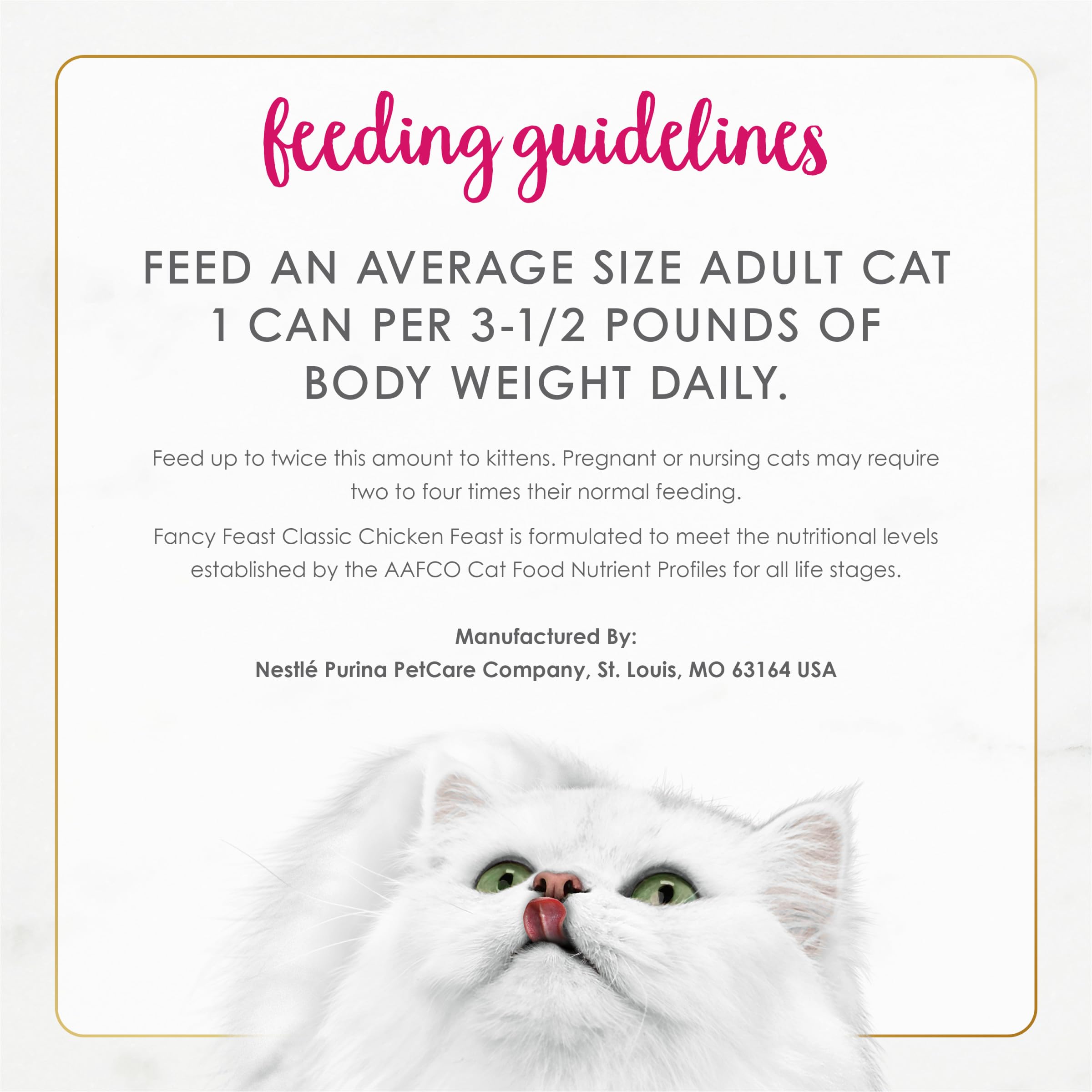 Fancy Feast Chicken Feast Classic Pate cat enjoying meal demonstrates protein-rich flavor.