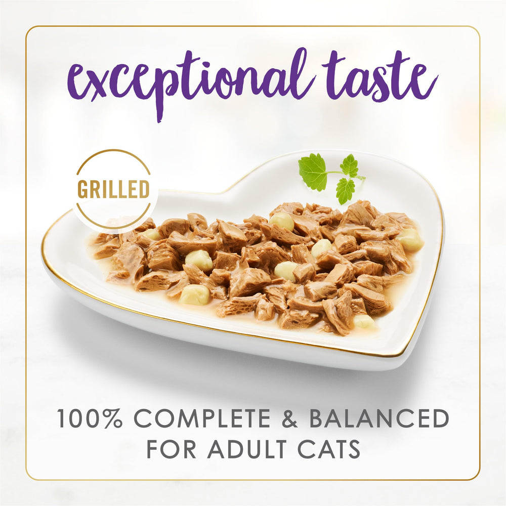 Fancy Feast Delights served in gravy bowl suggests comforting dining for cats.