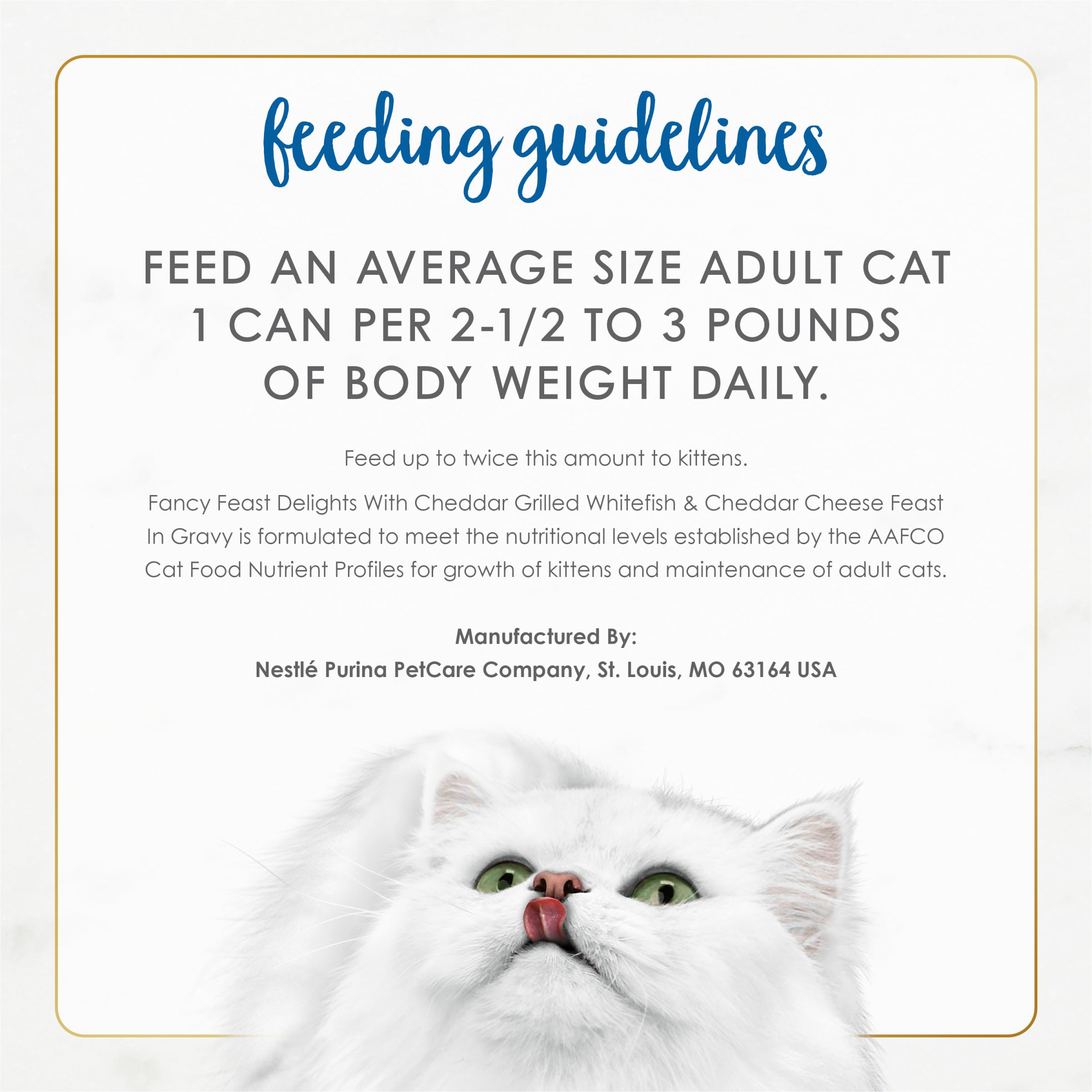 Serving idea showing Fancy Feast Delights wet cat food in a dish.