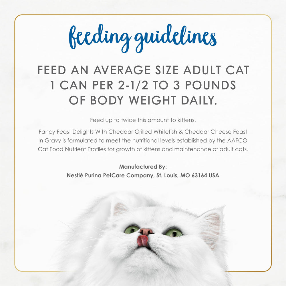 Serving idea showing Fancy Feast Delights wet cat food in a dish.