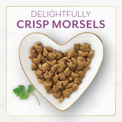 Fancy Feast crunchy-basted kibble provides a satisfying texture during mealtimes.