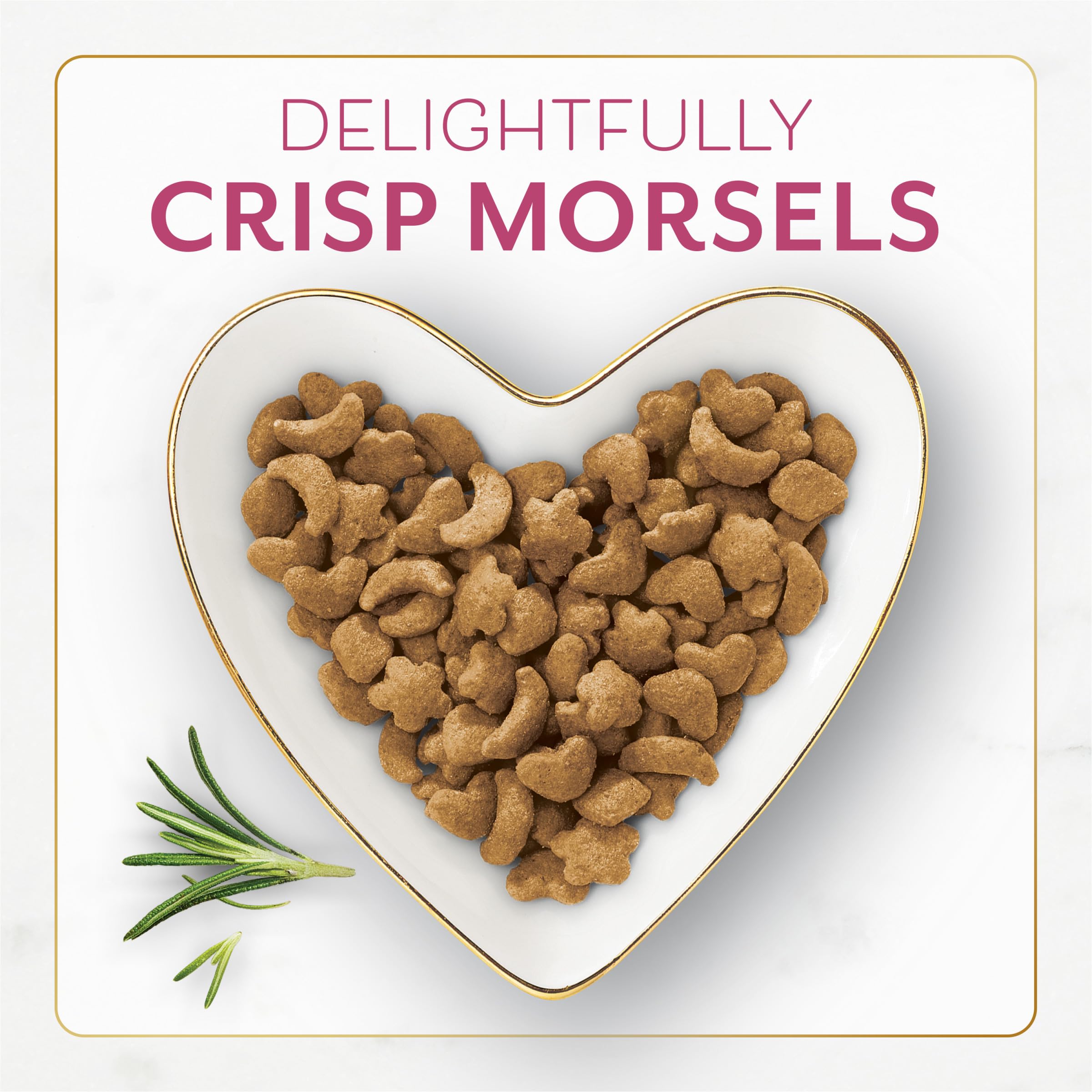 Close-up of crisp morsels from Fancy Feast Filet Mignon for a crunchy texture cats love.