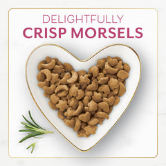 Close-up of crisp morsels from Fancy Feast Filet Mignon for a crunchy texture cats love.