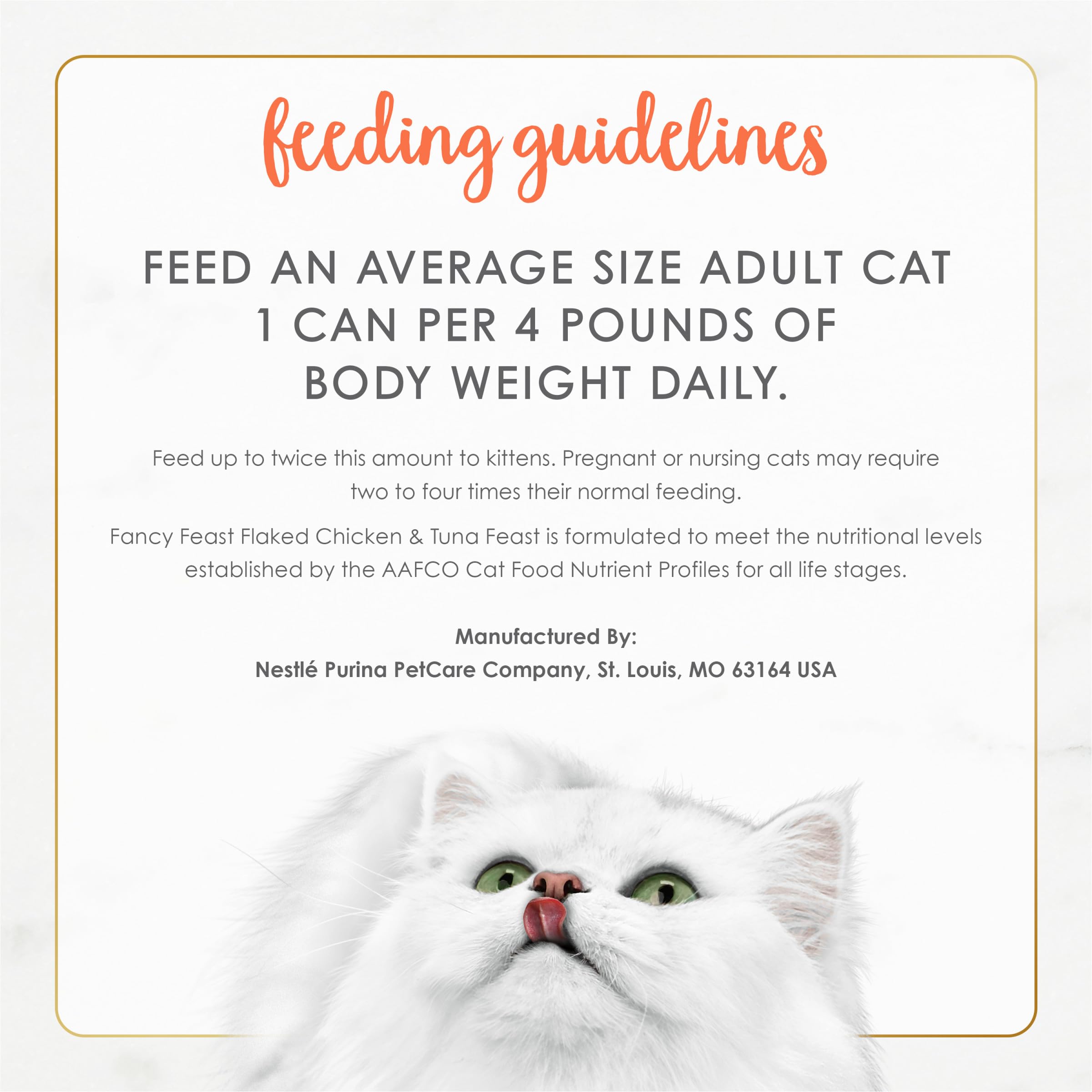 Final Fancy Feast dish ready for feeding time and daily variety.