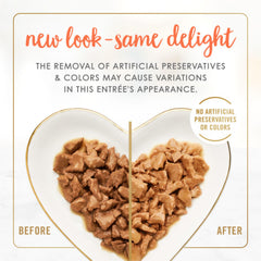 Purina Fancy Feast cans close-up showing real chicken and tuna texture for adult cats.