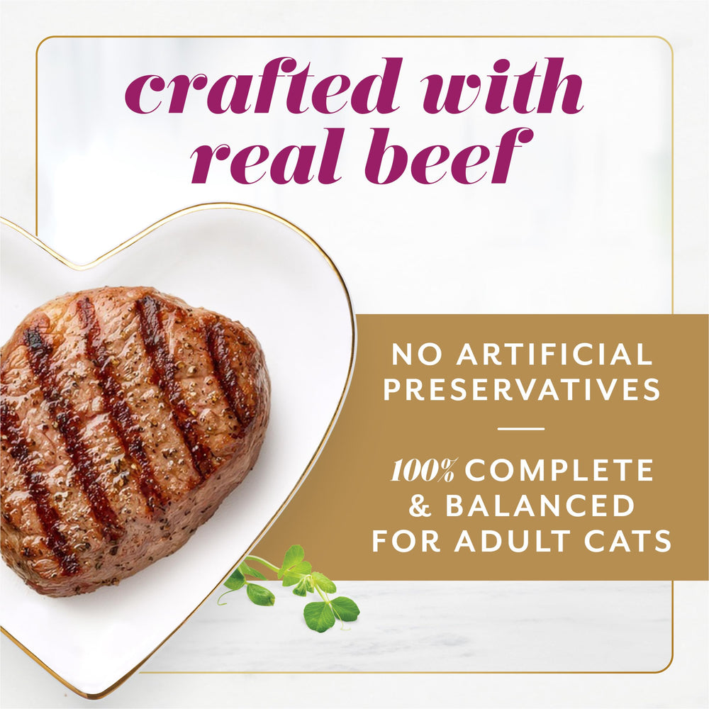Fancy Feast Gems Mousse with Beef pyramid-shaped pate adds visual appeal at dinner.
