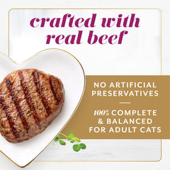 Fancy Feast Gems Mousse with Beef pyramid-shaped pate adds visual appeal at dinner.