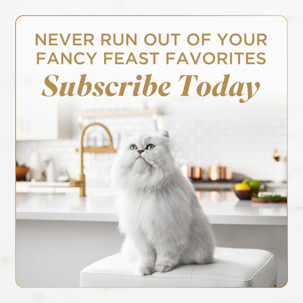 Fancy Feast Gems no-leftovers design image promotes cleaner bowls and less leftover mess.