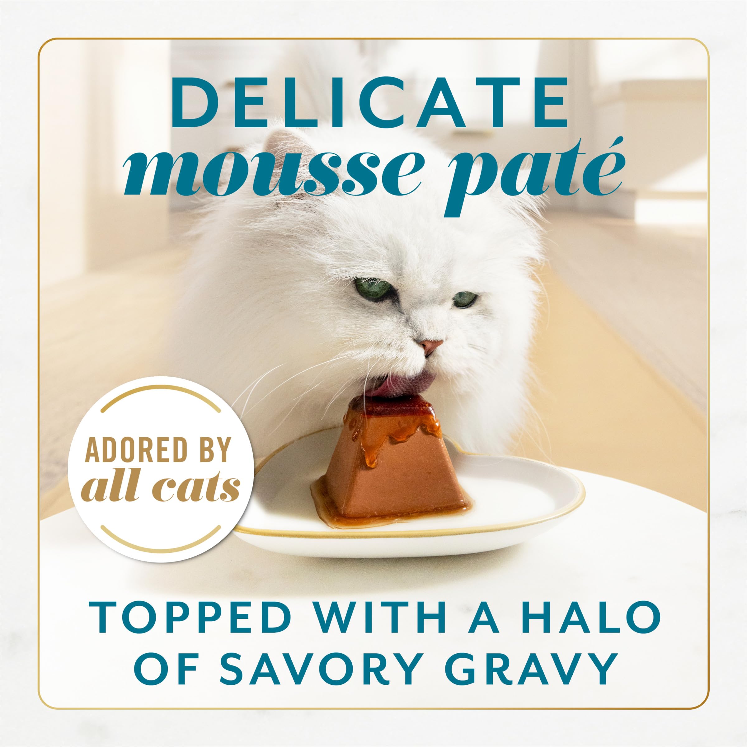 Fancy Feast Gems pate mousse close-up showing silky texture and gravy glaze.