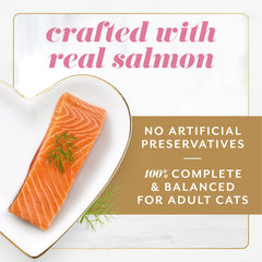 Fancy Feast Gems Pyramid Serving unique shape that entices picky eaters.