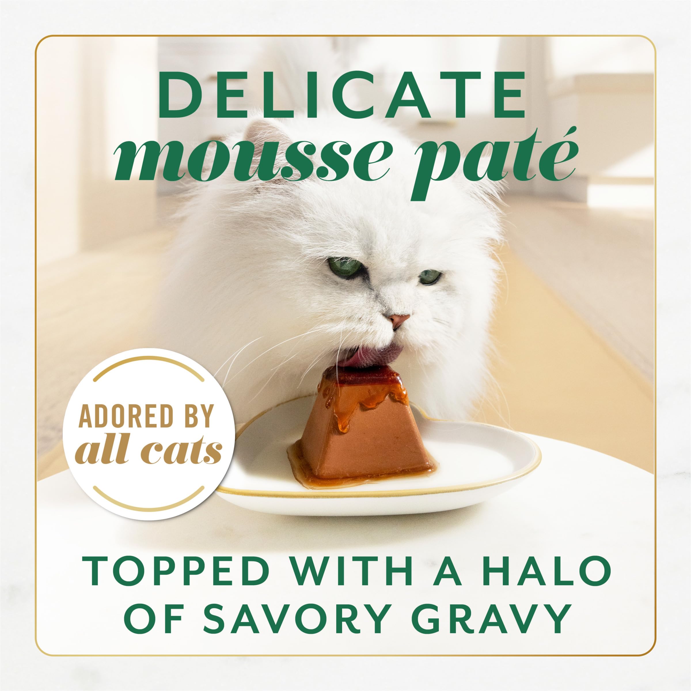 Fancy Feast Gems pyramid-shaped pate serving highlights premium presentation for cats.