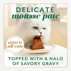 Fancy Feast Gems pyramid-shaped pate serving highlights premium presentation for cats.