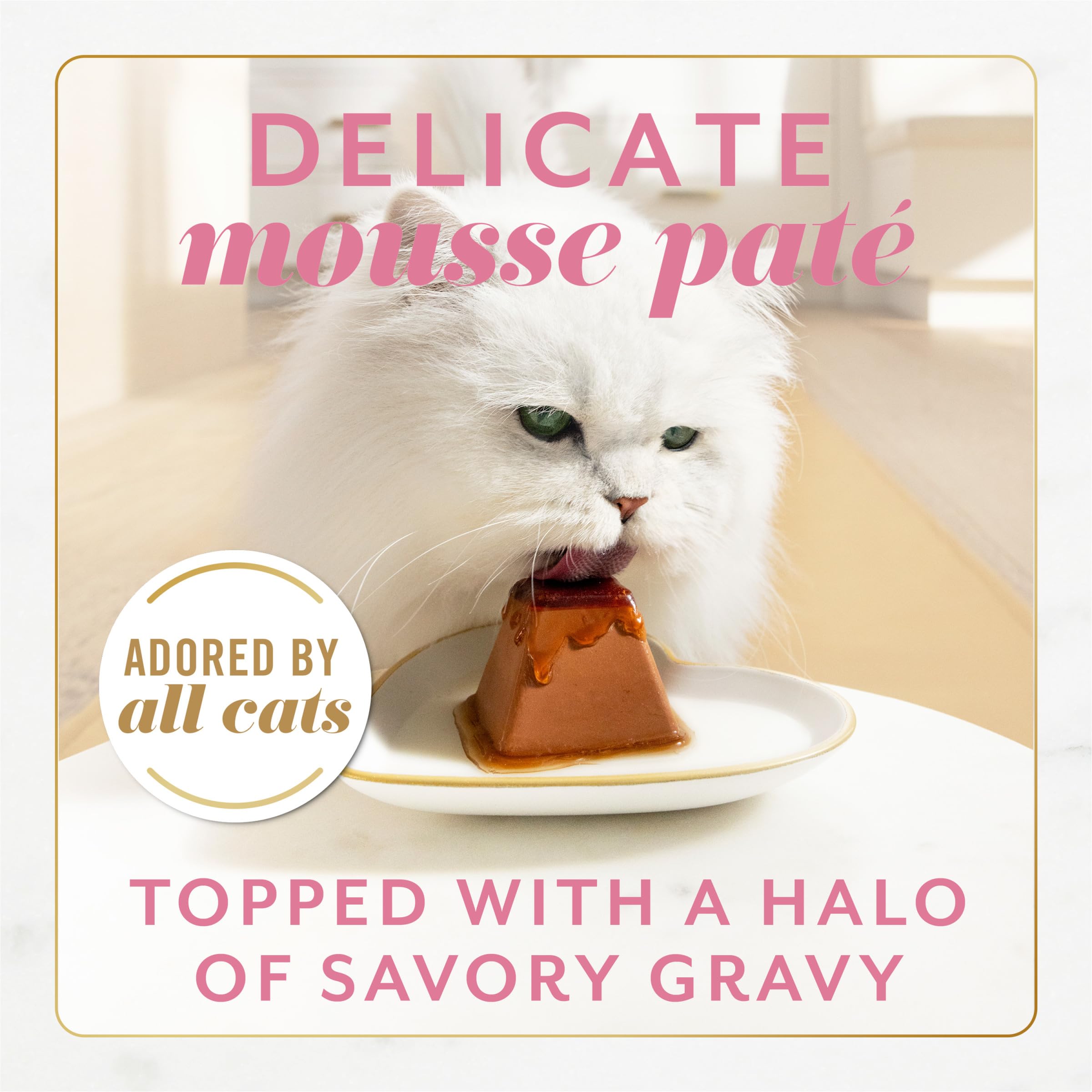 Fancy Feast Gems Salmon Halo Gravy highlights savory gravy finish in every bite.
