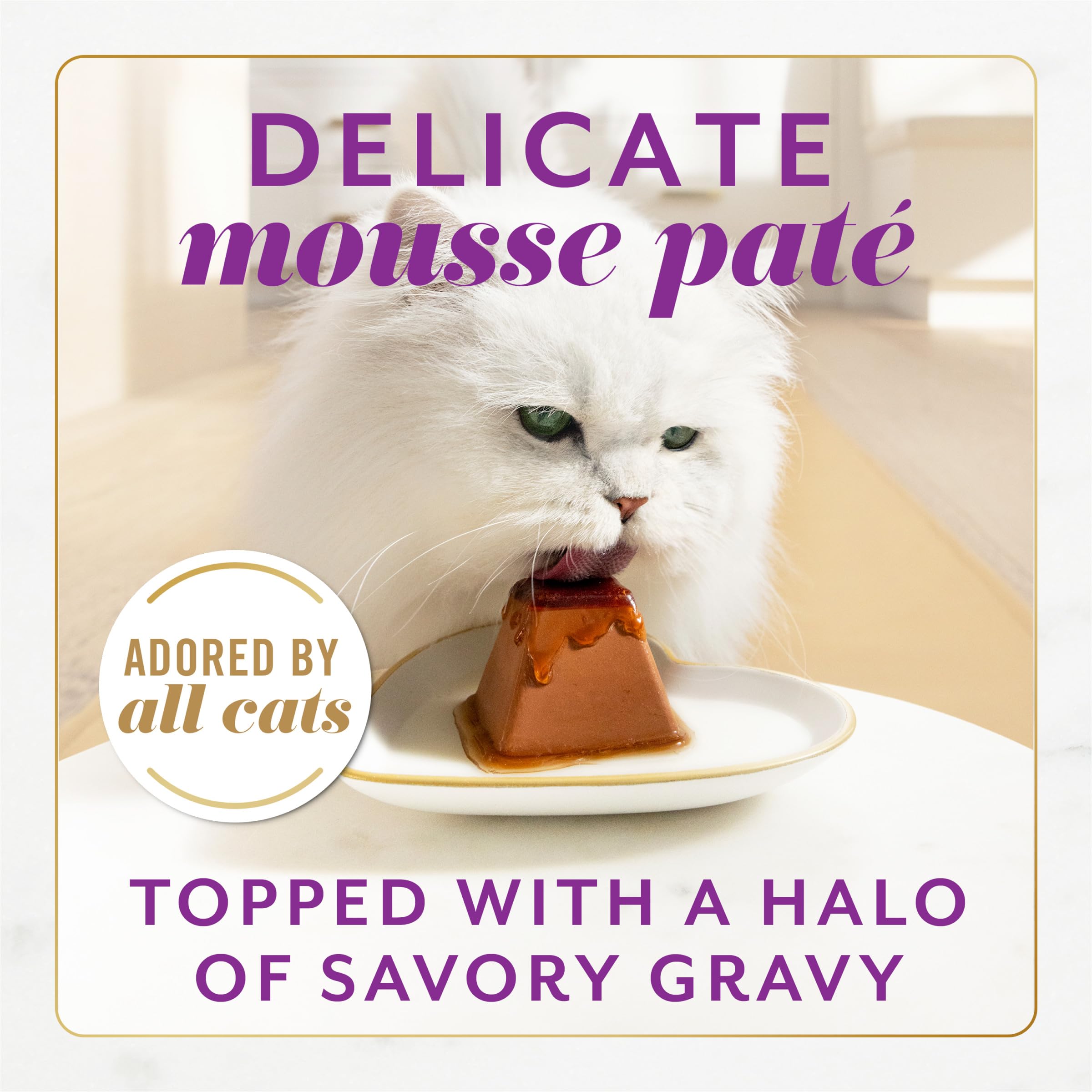 Fancy Feast Gems turkey pate mousse gravy halo close-up shows layered flavor and moisture.