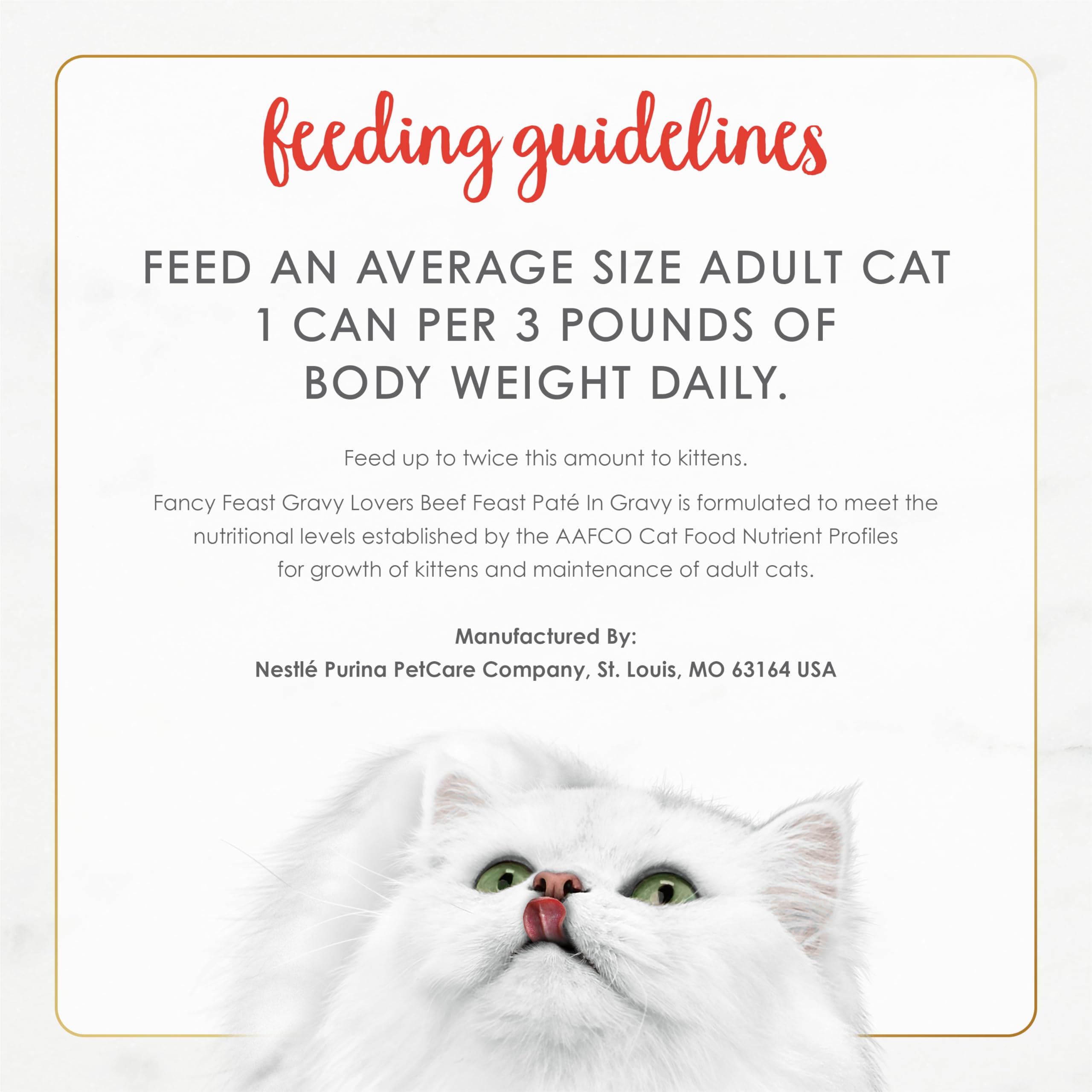 Gravy-laden pate offers gourmet texture for cats during mealtime