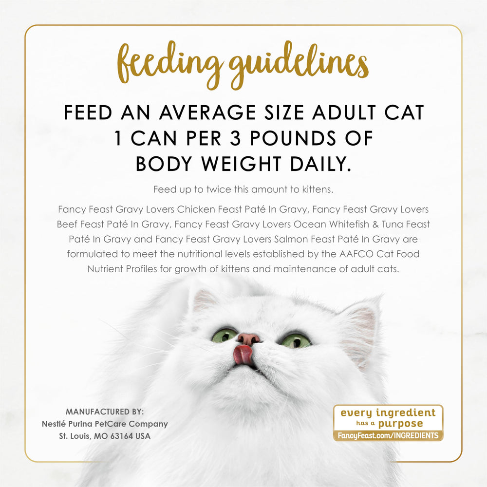 Fancy Feast Gravy Lovers adult-cat mealtime scene with gravy and pate