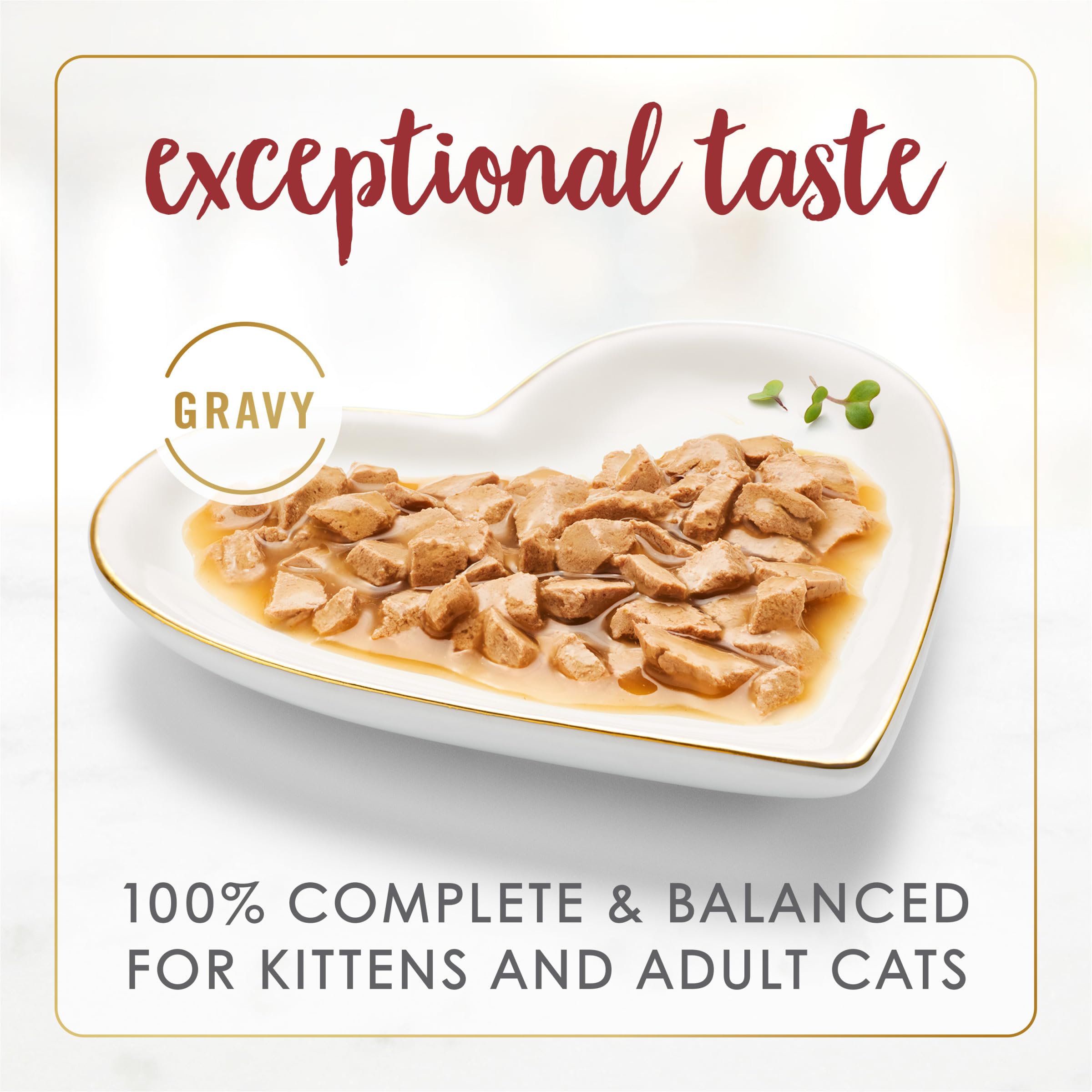 Fancy Feast Gravy Lovers Beef gravy pour close-up shows savory aroma and texture.