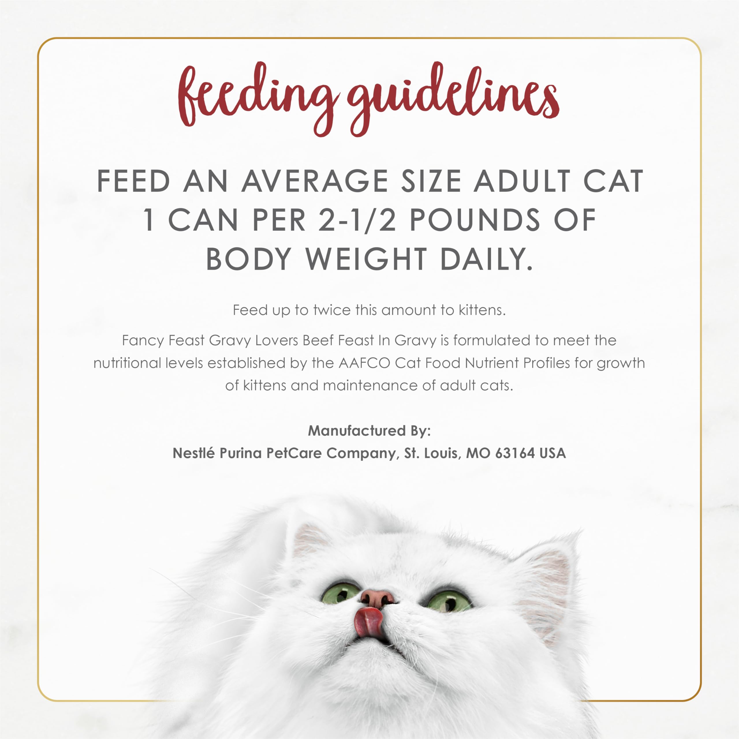 Fancy Feast Gravy Lovers Beef shown with a cat, suitable for both kittens and adults.