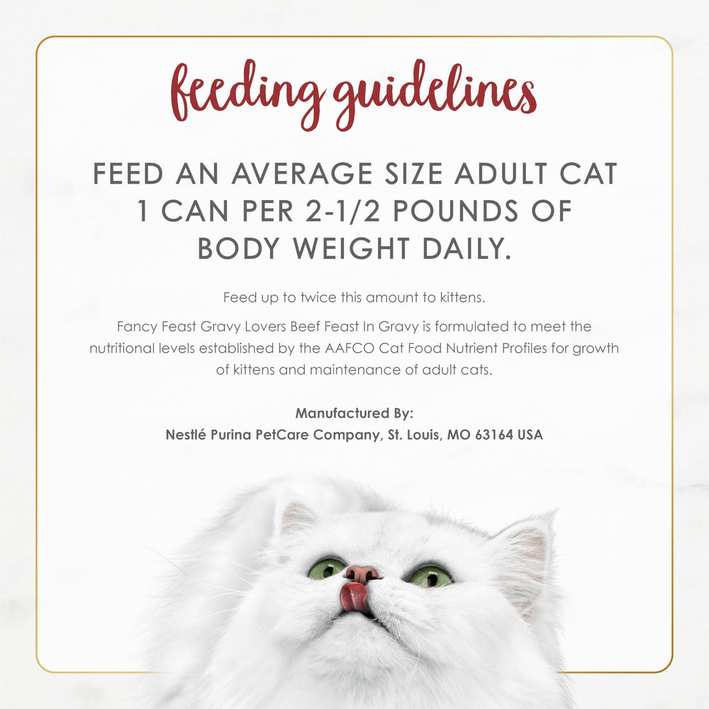 Fancy Feast Gravy Lovers Beef shown with a cat, suitable for both kittens and adults.